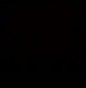 Meet your Posher, Maeve